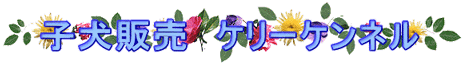 �g�C�v�[�h�� �~�j�`���A�V���i�E�U�[ ���C�N�����h�e���A ���C�A�[�t�H�b�N�X�e���A�̃u���[�_�[�E�P���[�P���l��