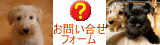 �P���[�P���l���ւ̂��⍇���t�H�[��